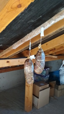 IMG_20190127_091752.jpg (1.39 MiB) Прегледано 18957 пъти IMG_20190127_091752.jpg