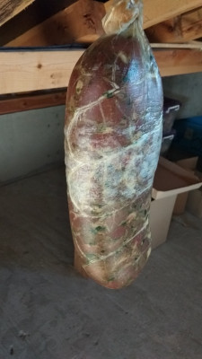 IMG_20190127_092650.jpg (1.36 MiB) Прегледано 18957 пъти IMG_20190127_092650.jpg