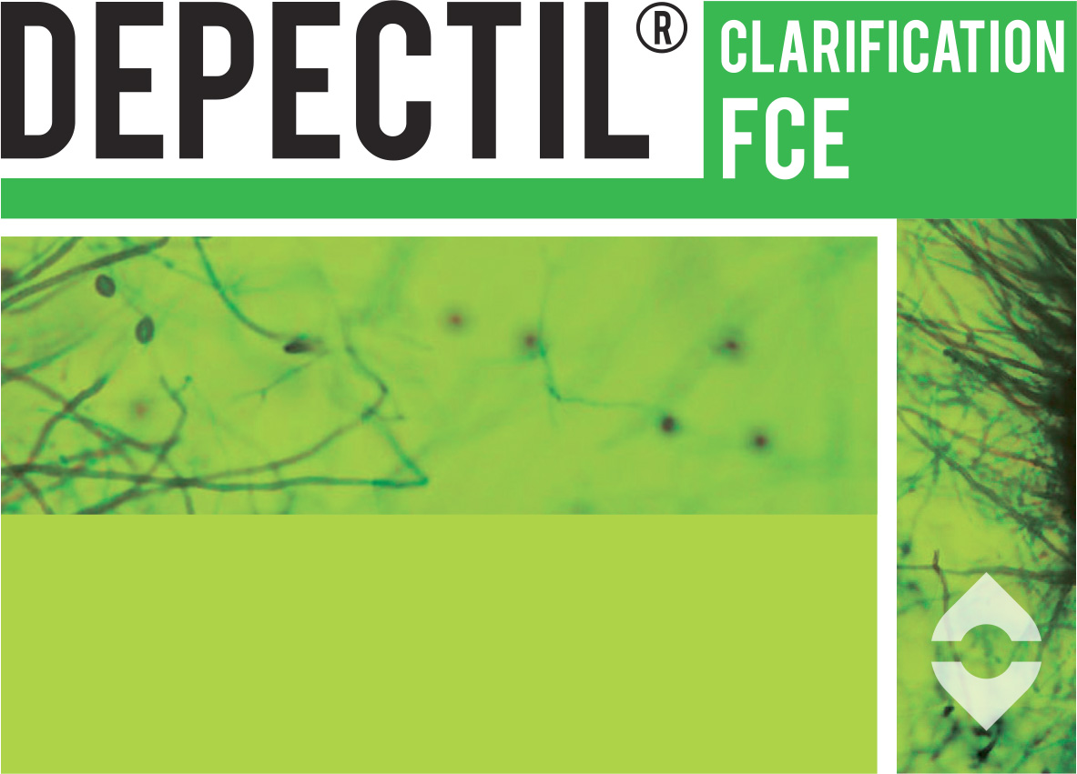 Депектил кларификасион (Depectil Clarification) Депектил кларификасион (Depectil Clarification)