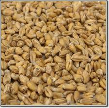Wheat Malt pale (Пшеничен светъл малц) Гърция Wheat Malt pale (Пшеничен светъл малц) Гърция